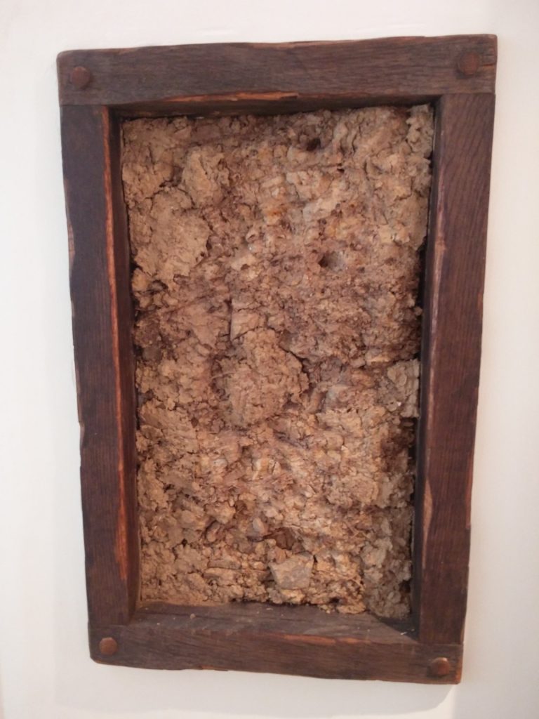 Home Spa Cob in Frame 1